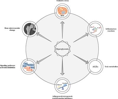 Challenges to Improve Bone Healing Under Diabetic Conditions